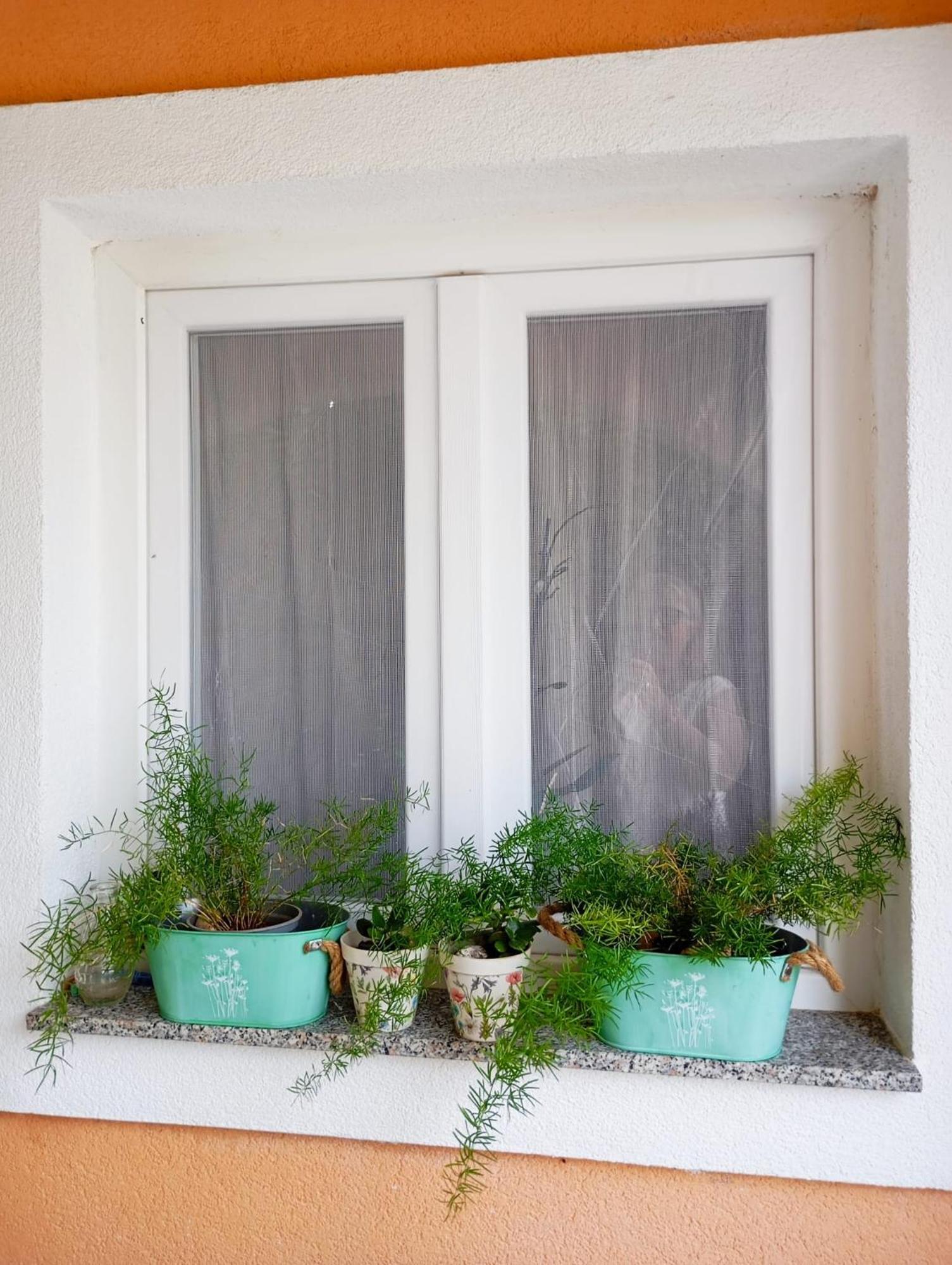 Apartmani Joja Biograd Na Moru Esterno foto