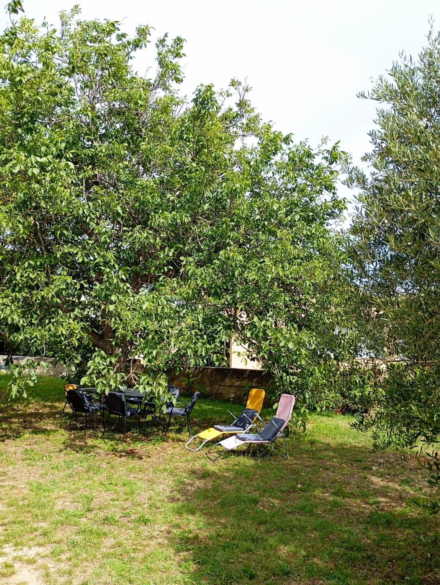 Apartmani Joja Biograd Na Moru Esterno foto